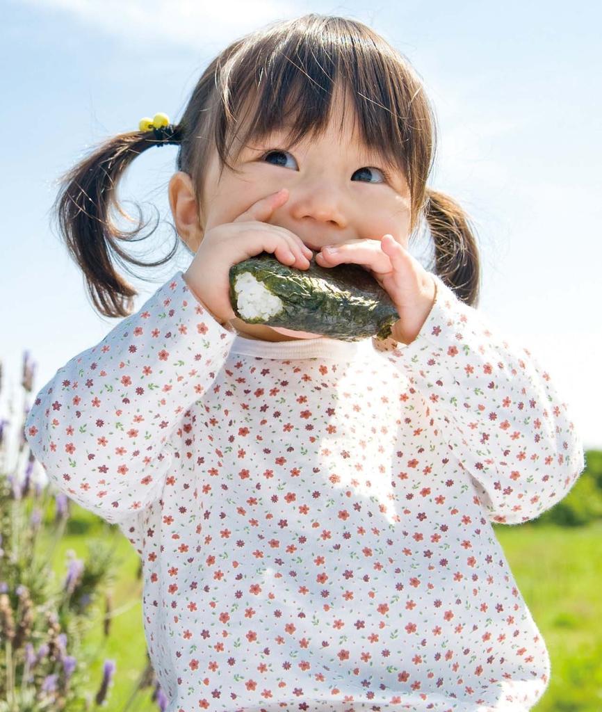 Ernest Bento Seaweed Rice Crispy Balls, Nori-Kiritai A-76712
