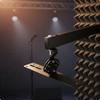 Swivel Tilt Speaker Mount High Load Capacity Audio Hardware Black Finish for Ktv