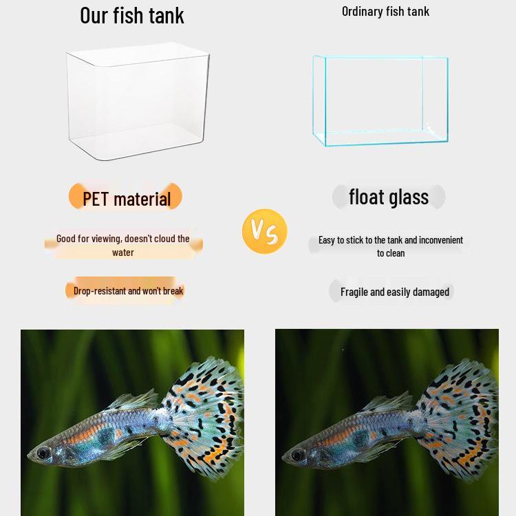 Eco-Friendly Desktop Fish Tank - Small Transparent Goldfish Aquarium for Home or Coffee Table Decor
