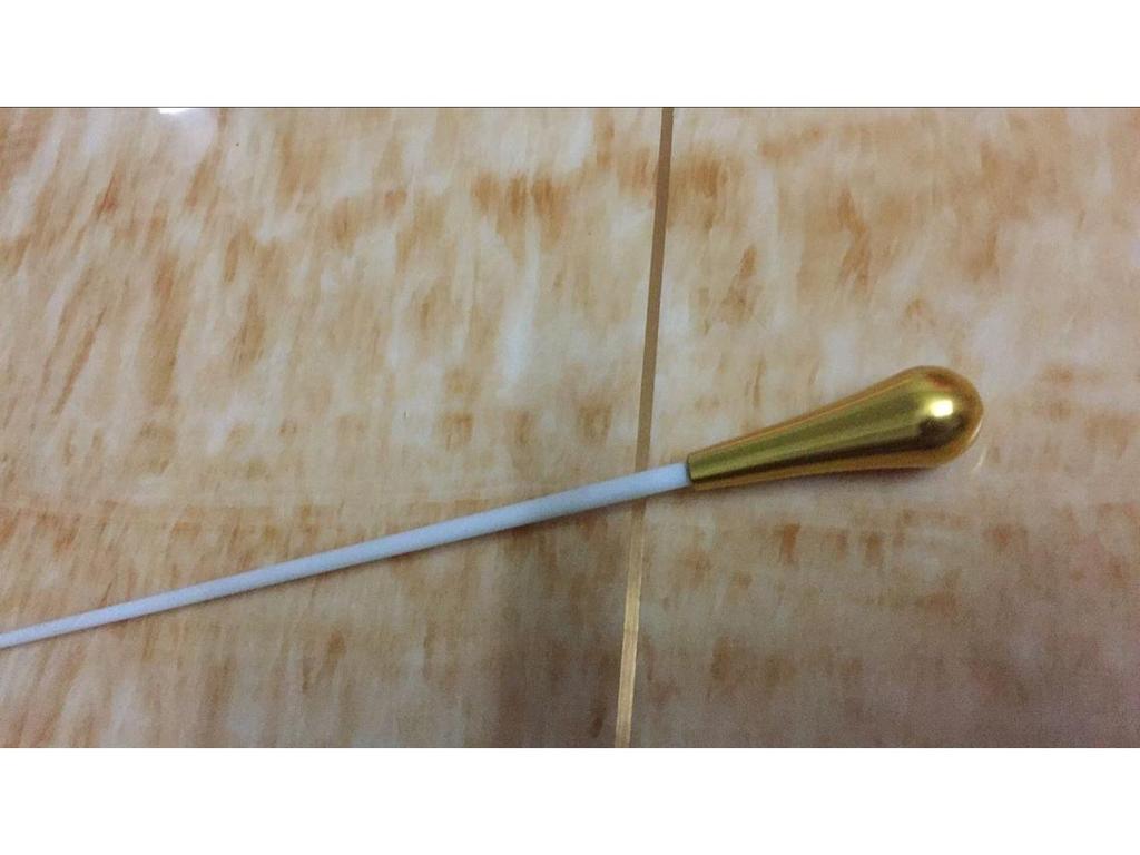 Elegant Gold and Silver Concert Conductor Baton