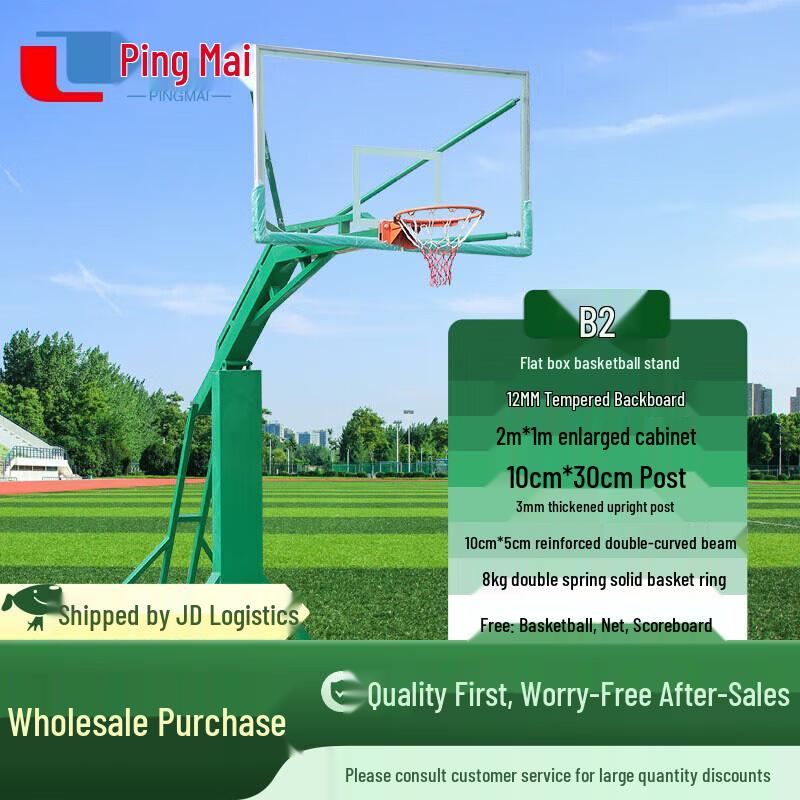 Pingmai Portable Basketball Hoop