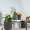 Smaller Single Ceramic Plant Pot diameter 24.5 cm, Glossy Grey with Herringbone Relief