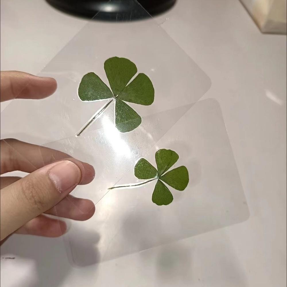 5Pcs Lucky Clover Postcards - Natural Grass Transparent Wishing Cards for Bookmarks & Decorations