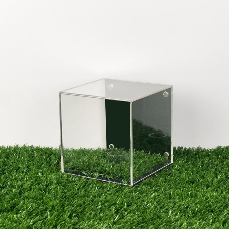 Custodia Trasparente per Palline da Golf con Coperchio Sigillato Contenitore per Conservazione Palline da Golf Firmate Scatola Antipolvere per Conservazione Palline da Golf