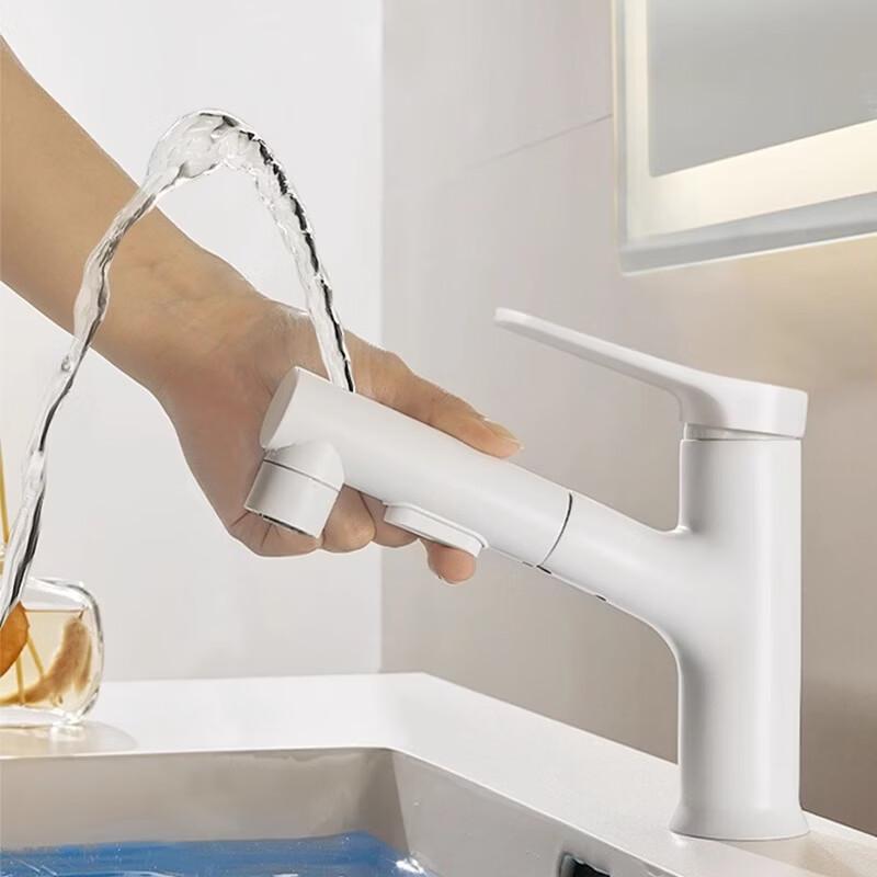 TLXT Chrome Pull-Out Basin Faucet