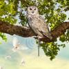 Owl Decoy Birds Deterrents Devices Fake Owl Decoy Reflective Bird Scarecrow Sculpture Fake Owl Decoy Reflective Bird Scarecrow