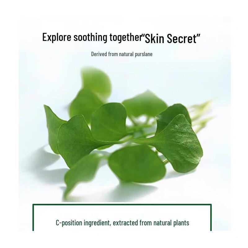 Yasai Deep Cleansing Facial Cream