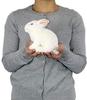 Calorata Japanese Hare Plush Toy Realistic Rabbit Animal Baby Toy Doll Gift Present Birthday Christmas Present (Winter Fur/Soft Touch) (Twice Tested)