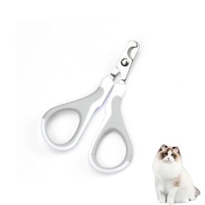 Pisici – Produse pentru îngrijirea pisicilor