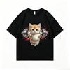 Cute Gym Cat Graphic Tshirt Unisex Workout Animal Printed Tee Fashion Daily Casual Tops
