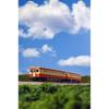 KATO (KATO) N Gauge Kiha 52 General Color Model Train Diesel Car 6042-3