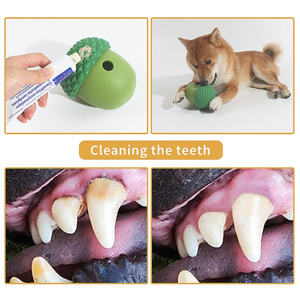Pet toy dog leaked food ball edible silicone acorn shape feeding fun interactive wild toy ball
