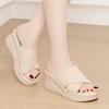 Slippers thick-soled women's summer outer wear New Year's fashion slope heel versatile high-end sandals high heels go out
