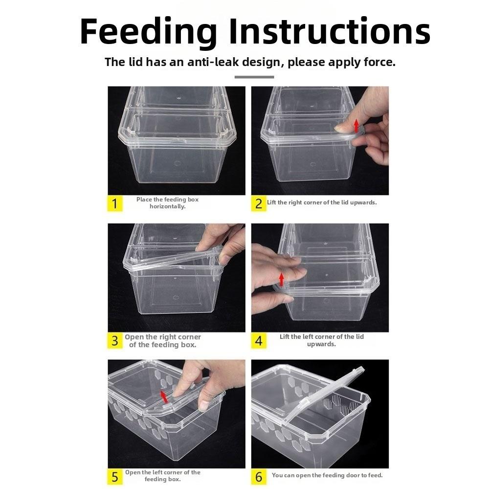 Breathable Reptile Tank Plastic Reptile Transport Container Reptile Pet Supplies