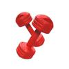 Colorful Cement Dumbbell