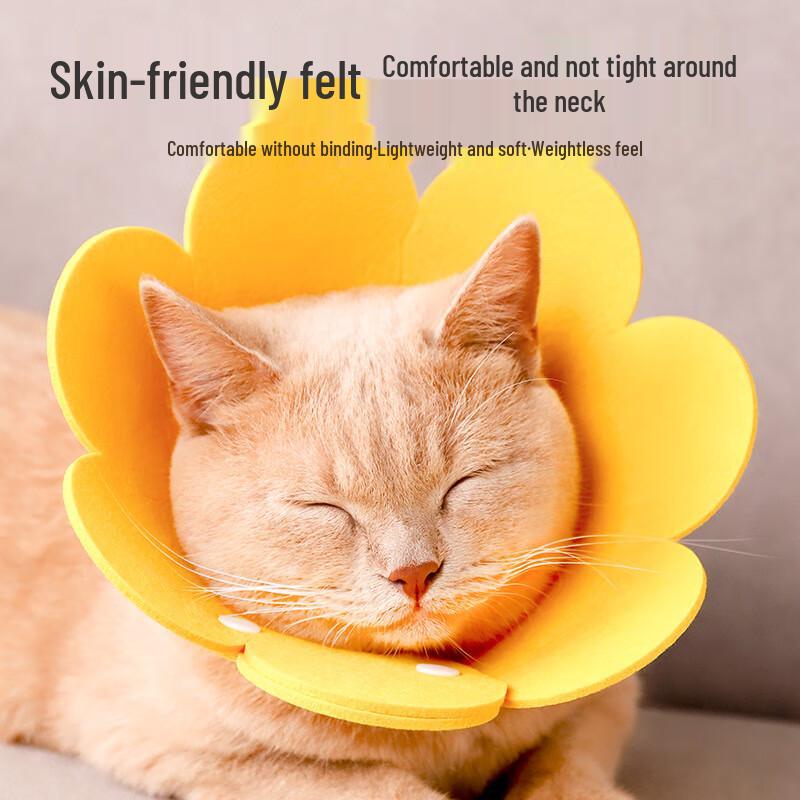 Cat Sunflower Elizabethan Collar