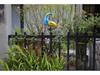 Waterproof LED Solar Peacock Lawn Light: Metal Art Garden Decoration
