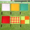 Sports Referee and Signal Flags