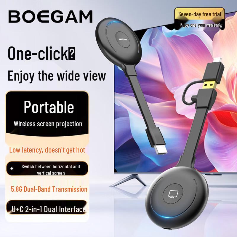 BOEGAM Wireless HDMI Screen Projector
