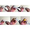 Pigeon Quail Egg Scissor Bird Cutter Opener Egg Slicers Kitchen Tool Clipper