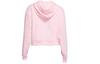 Nike Sweatshirts Women's Pink Hooded Moderate Regular CV1871-654