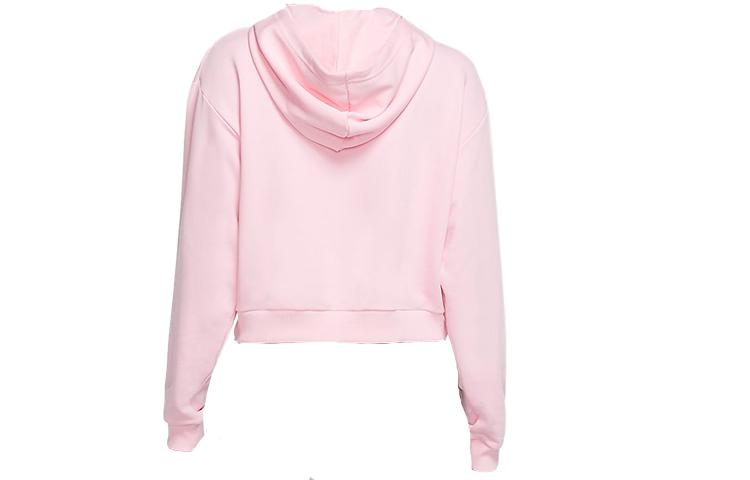 Nike Sweatshirts Women's Pink Hooded Moderate Regular CV1871-654