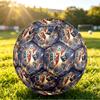 France Football Printed Size 5 Soccer Ball Wear Resistant Standard Adult Training Football Fan Gift for Indoor Outdoor Match Sports