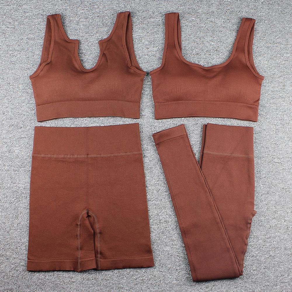 Women's Ribbed Seamless Yoga Set: Striped Sports Bra, Tank Top, Long Pants, and Shorts