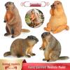 Solid Marmot & Squirrel Plastic Educational Toy Model for Children
