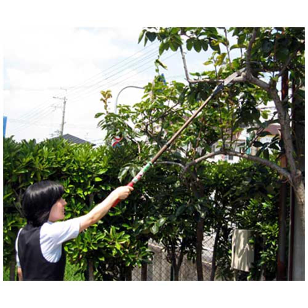 Nishigaki Industrial Narrow Saw 1100 N-751