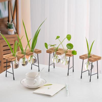 Glass Hydroponic Vase with Wooden Stand for Pothos and Flower Arrangements