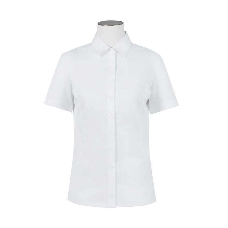 HLA Women s Short Sleeve Shirt L