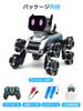 Technoc RC Stunt Car for Kids, USB Rechargeable, 360-Degree Rotation, Double-Sided Operation, Remote Control Off-Road Toy Car, Birthday Gift for Boys