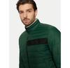 Down Jacket Boss Darolus 50464308 Green Regular Fit