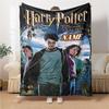 Custom Name "Harry's Magical Adventure" blanket for Couch & Bed, Plush Cozy Fuzzy Blanket Super Soft & Warm Blankets for Fall and Winter. 090864