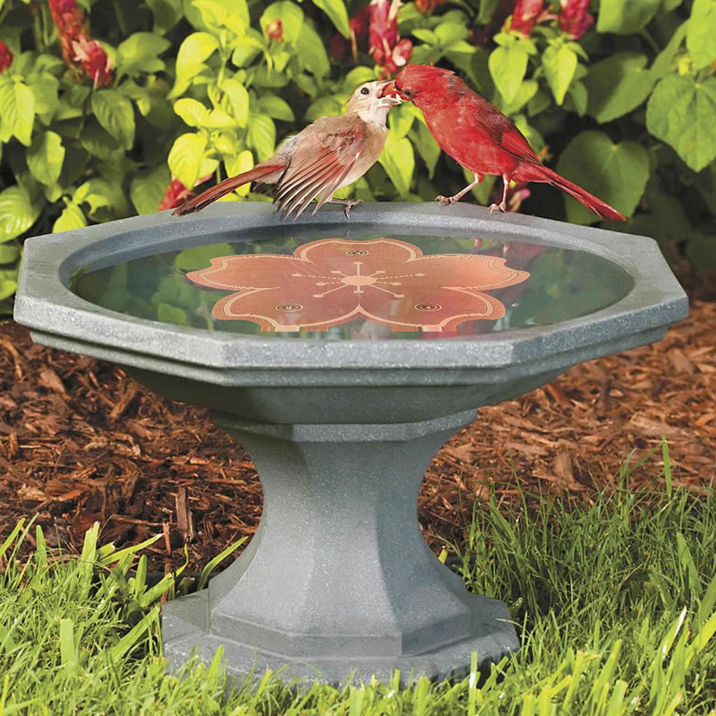 Copper Cleaning Disk 0.8mm Triple-Point Support Design Copper Bird Bath Disk Lower Cleaning Frequency for Outdoor Birdbaths