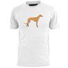 T-shirts e tops – T-Shirts