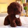 Teddy Dog Plush Toy Doll Puppy Doll Cute Poodle Gift for Children