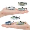 Marine Tuna Animal Salmon Resin Model Toy For Kids Display Gifts Decoration