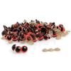 100 Pcs 8-20mm Plastic Safety Eyes for Teddy Bear Doll Animal Puppet