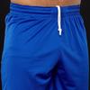 Nike Sports Shorts Men's Blue Moderate 867768-494