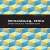 Winesburg Ohio by Sherwood Anderson Hardback Book 9781513219943