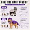 3D Tyrannosaurus Rex Skelett Haustier Halloween Kostüm Weiches Plüsch Kapuzen Outfit für Kleine Mittlere Hunde Katzen Feiertagsparty Cosplay Verkleidung