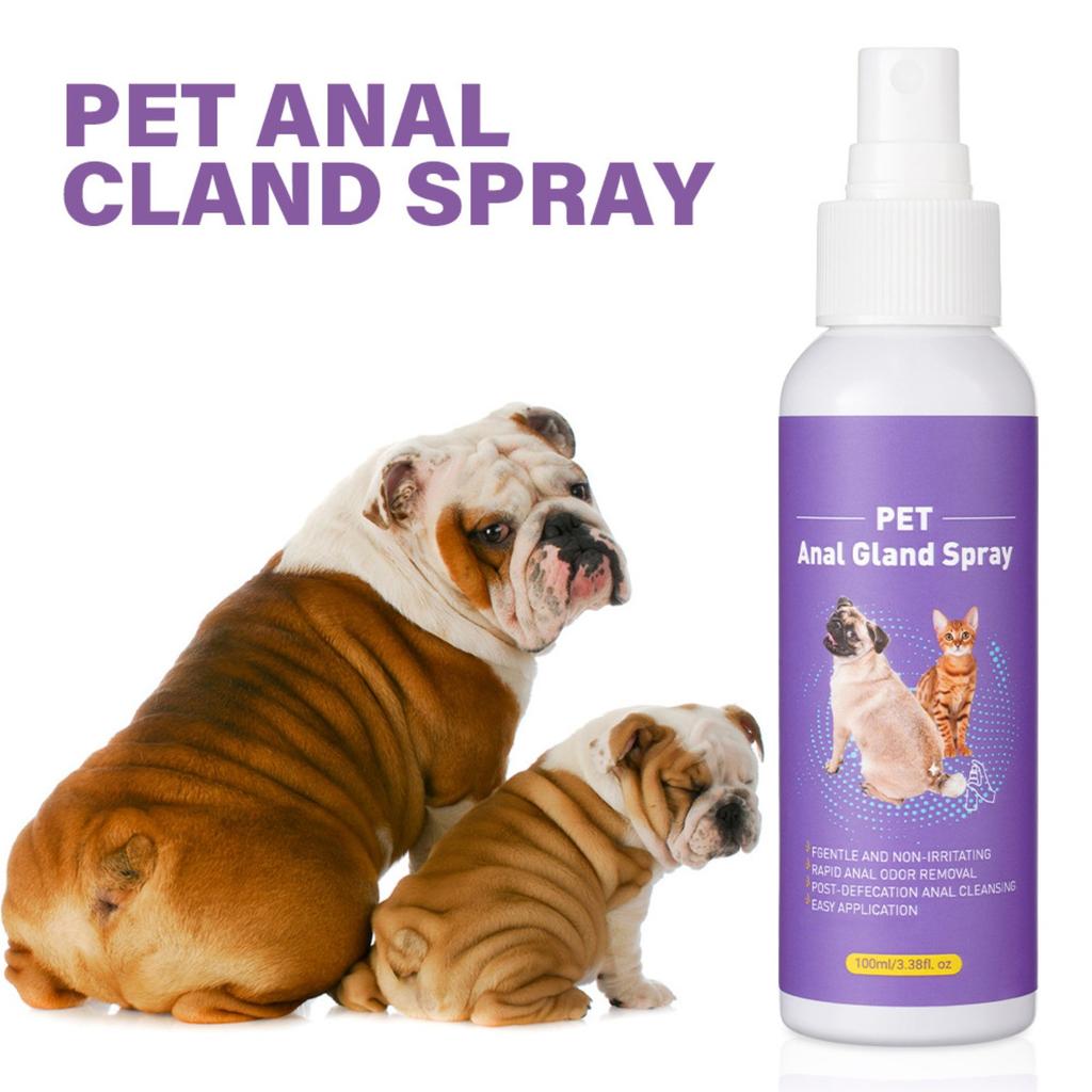 Pet Butt Cleaning Water-free Dry Cleaning Foam Butt Cleaning Deodorant 100ML