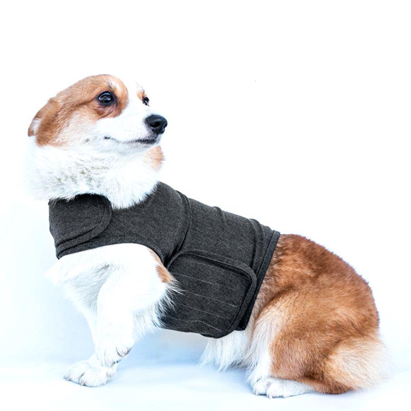 thunder dog jacket