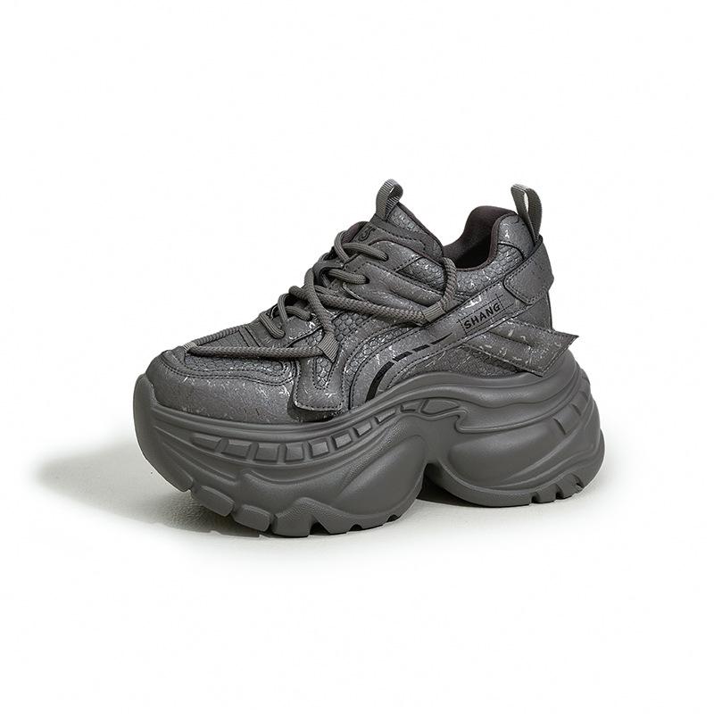 Daddy shoes women's trendy cool 2025 autumn and winter new thick-soled versatile small inner height-increasing women's shoes sports and leisure shoes