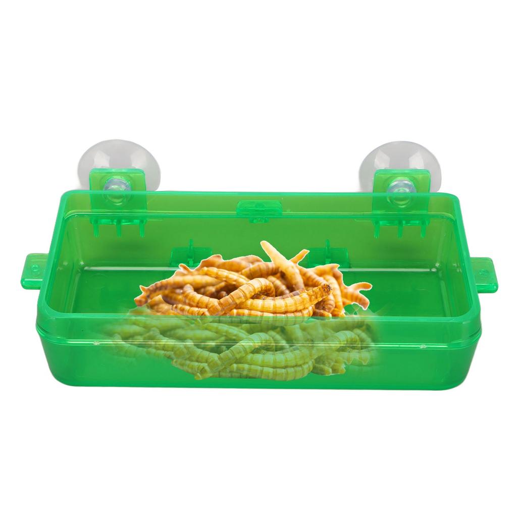 Suction Cup Reptile Feeder Escape Proof Reptile Feeding Food Water Bowl for Bearded Dragon Green