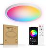 Ultra-Thin Smart Ceiling Lamp with Alexa Voice Control - WiFi & Bluetooth, RGB Color, Dimmable