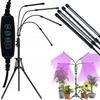 Iluminação profissional – Iluminação para horticultura