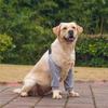Cotton Dog Elbow Protector Cartoon Pattern Pet Knee Pads Dog Elbow Sleeves  for Elbow Brace